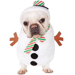 Christmas Snowman Dog Costume