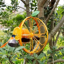Oriole Bird Feeder for Outdoors Jelly and Oranges