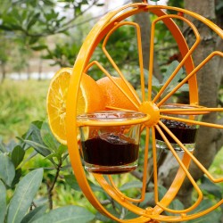 Oriole Bird Feeder for Outdoors Jelly and Oranges