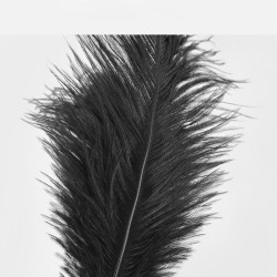 FEATHER TEASER BODY OSTRICH FEATHER TICKLER